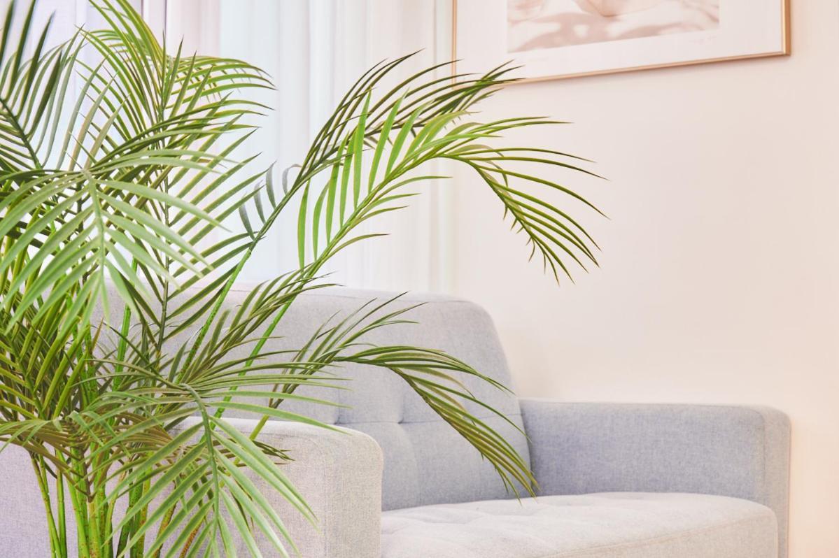Apartment Greenery Terrace House